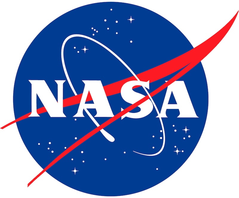 NASA Meatball Logo